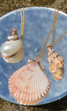 Load image into Gallery viewer, Ethereal Mermaid Seashell Necklace with Gold Trim
