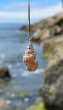 Load image into Gallery viewer, Ethereal Mermaid Seashell Necklace with Gold Trim
