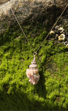 Load image into Gallery viewer, Ethereal Mermaid Seashell Necklace with Gold Trim
