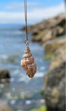 Load image into Gallery viewer, Ethereal Mermaid Seashell Necklace with Gold Trim
