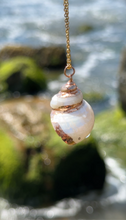 Load image into Gallery viewer, Ethereal Mermaid Seashell Necklace with Gold Trim
