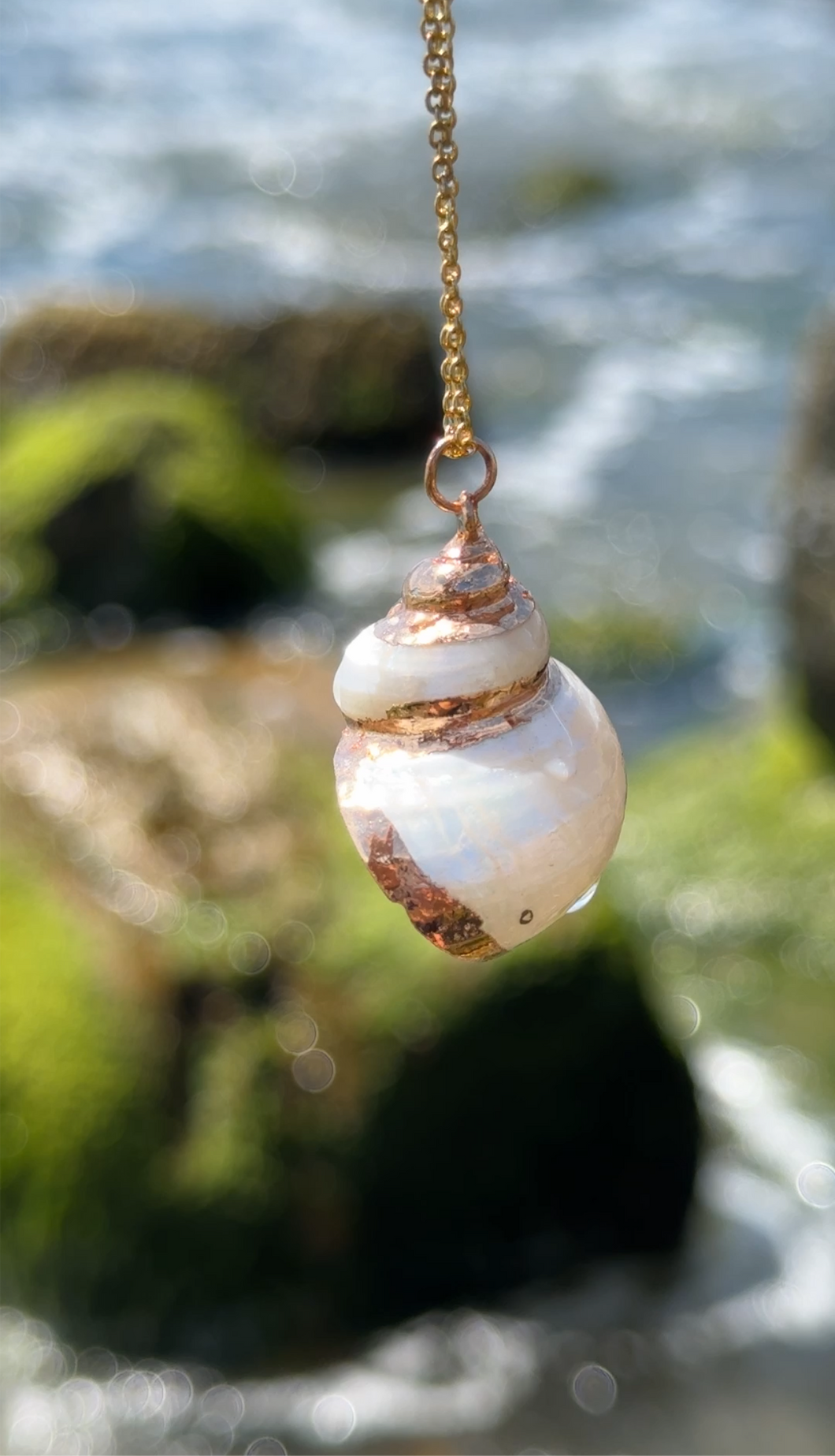 Ethereal Mermaid Seashell Necklace with Gold Trim