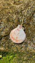 Load image into Gallery viewer, Ethereal Mermaid Seashell Necklace with Gold Trim
