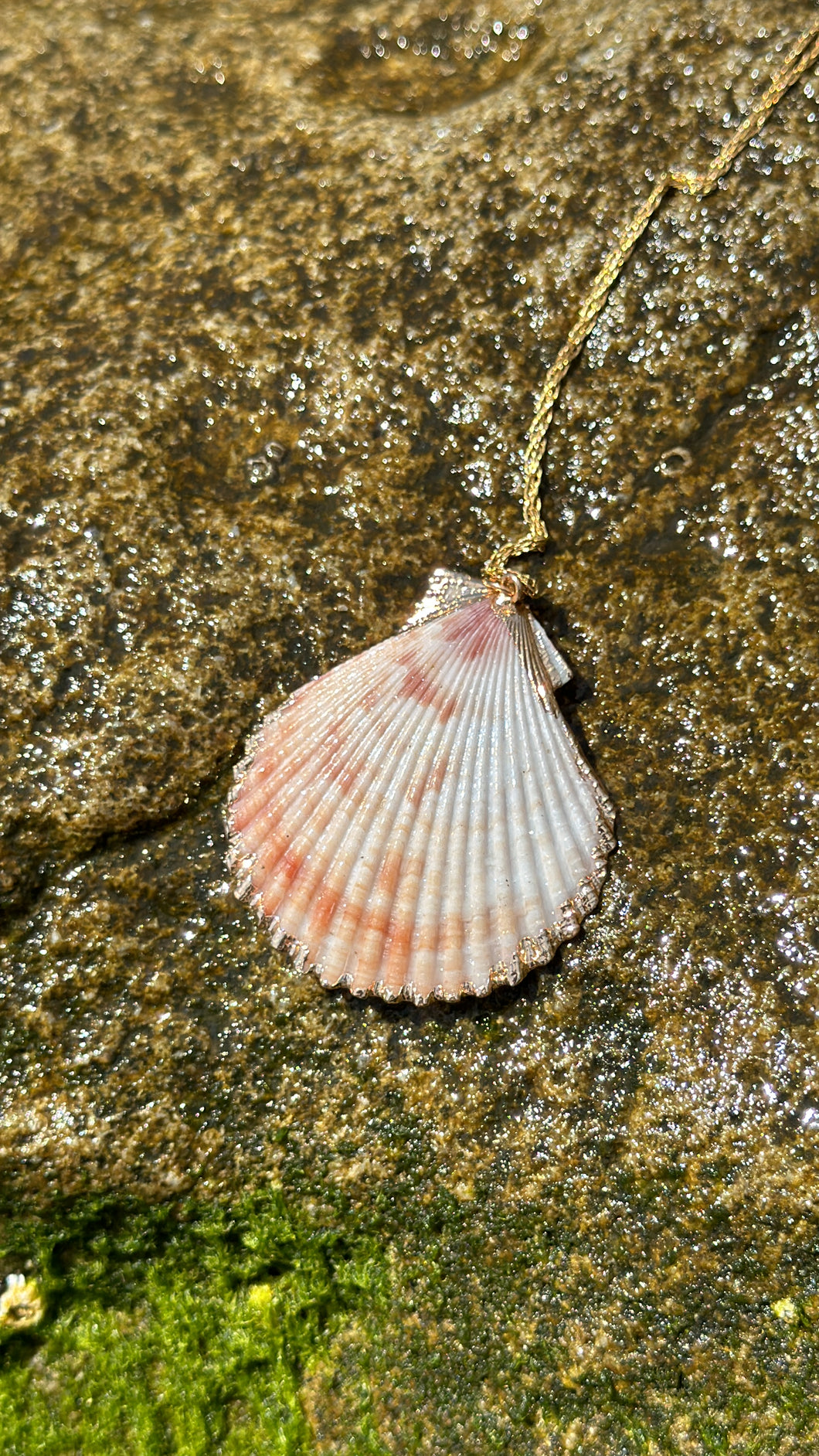 Ethereal Mermaid Seashell Necklace with Gold Trim