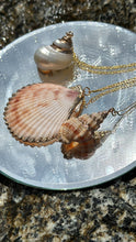 Load image into Gallery viewer, Ethereal Mermaid Seashell Necklace with Gold Trim
